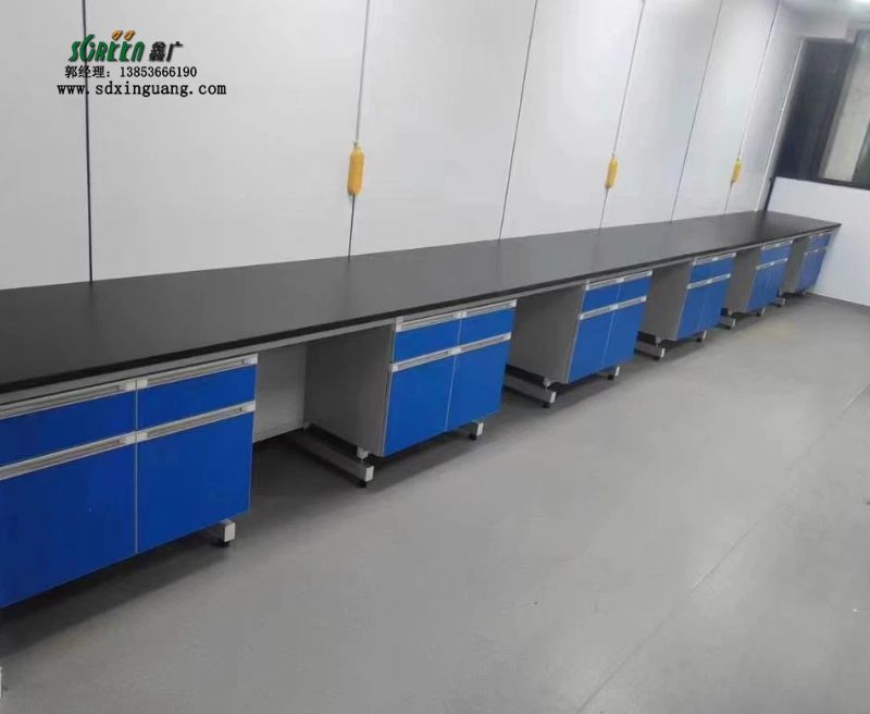 濰坊實驗臺化驗室邊臺通風柜工作臺廠家